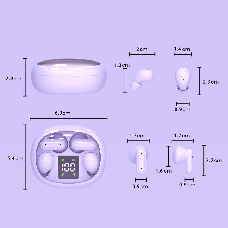 Dual Bluetooth Wireless Earbuds